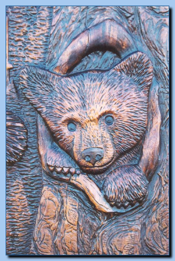 2-51 bear relief-archive